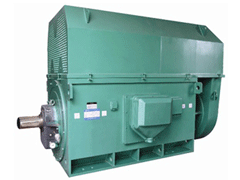 石林Y系列6KV高压电机